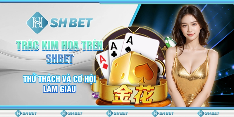 Trác Kim Hoa Trên SHBET - Thử Thách Và Cơ Hội Làm Giàu
