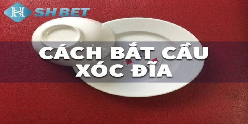 Lợi ích khi soi cầu xóc đĩa tại SHBET