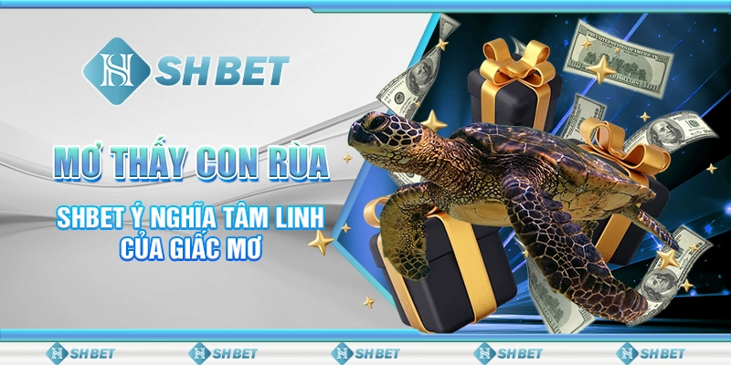 Mơ Thấy Con Rùa - SHBET Ý Nghĩa Tâm Linh Của Giấc Mơ