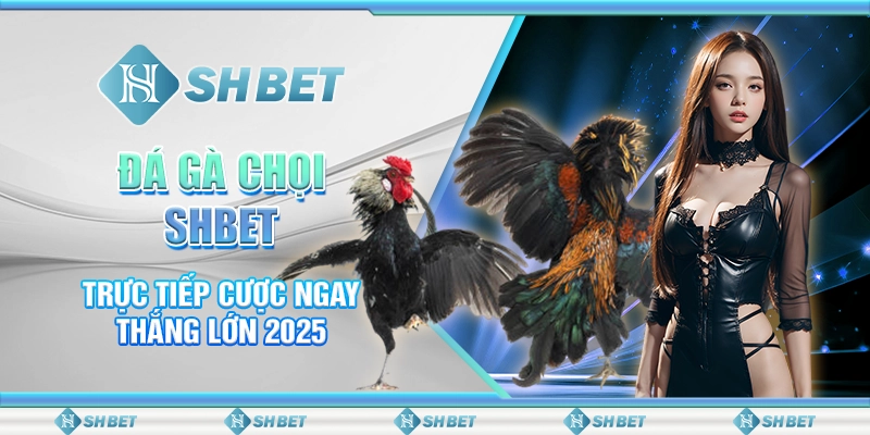 Đá Gà Chọi SHBET - Trực Tiếp Cược Ngay Thắng Lớn 2025