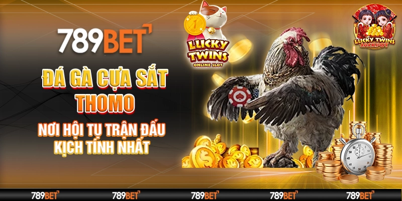 Đá Gà Cựa Sắt Thomo – Nơi Hội Tụ Trận Đấu Kịch Tính Nhất