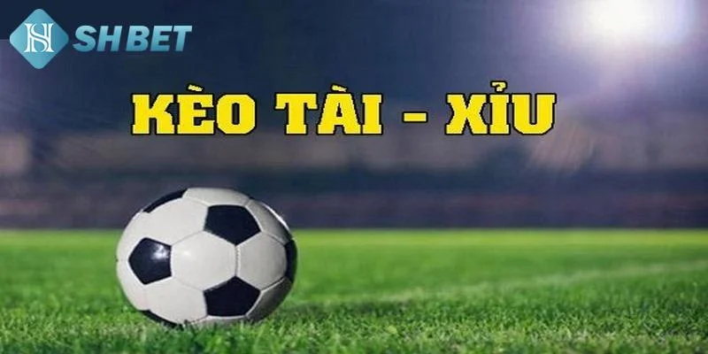 Tổng quan về cách đánh tài xỉu bóng đá