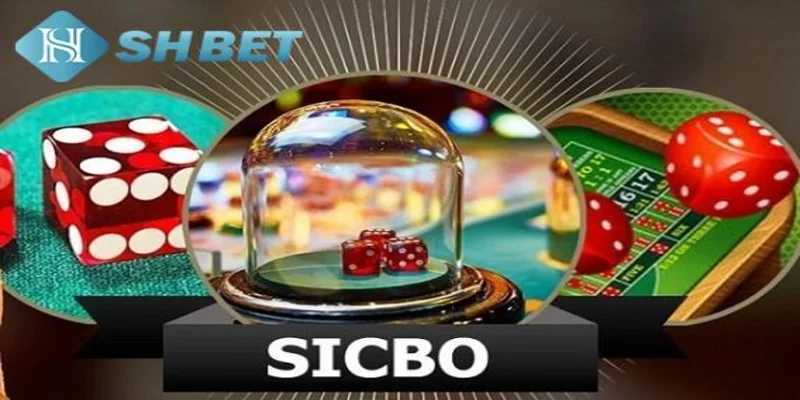 Cách tham gia trò chơi Sicbo tại SHBET