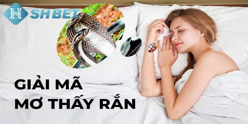Lời khuyên khi mơ thấy rắn và cách ứng dụng