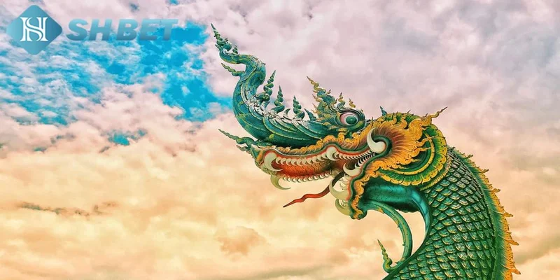Những điều cần làm khi mơ thấy rồng