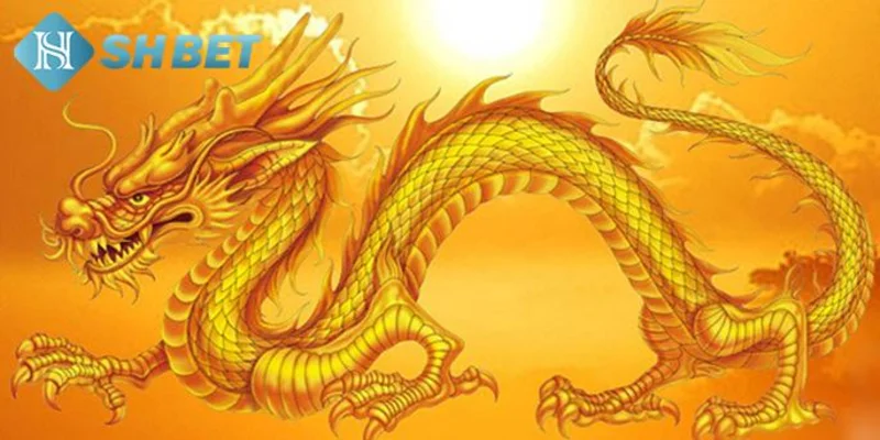 Mơ thấy rồng và ý nghĩa phong thủy