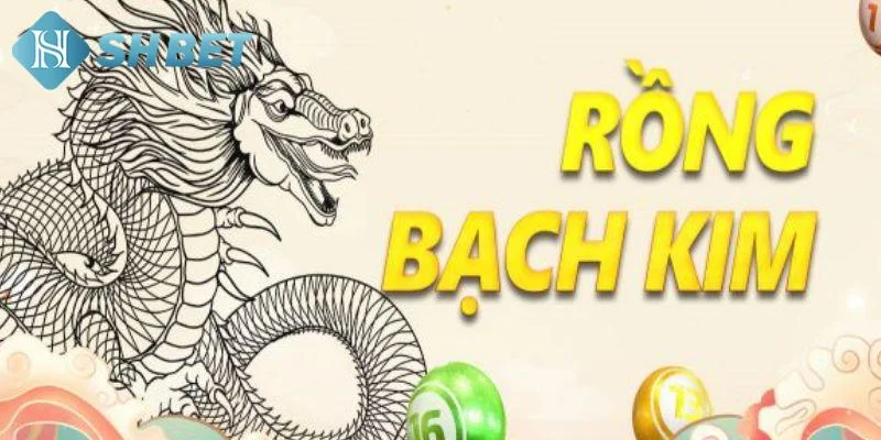 Lý do nên tham khảo soi cầu bạch kim
