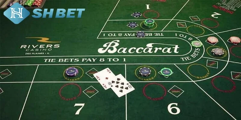 Tìm hiểu cơ bản về Baccarat
