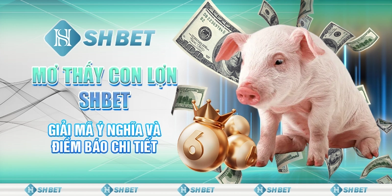Mơ Thấy Con Lợn SHBET - Giải Mã Ý Nghĩa Và Điềm Báo Chi Tiết